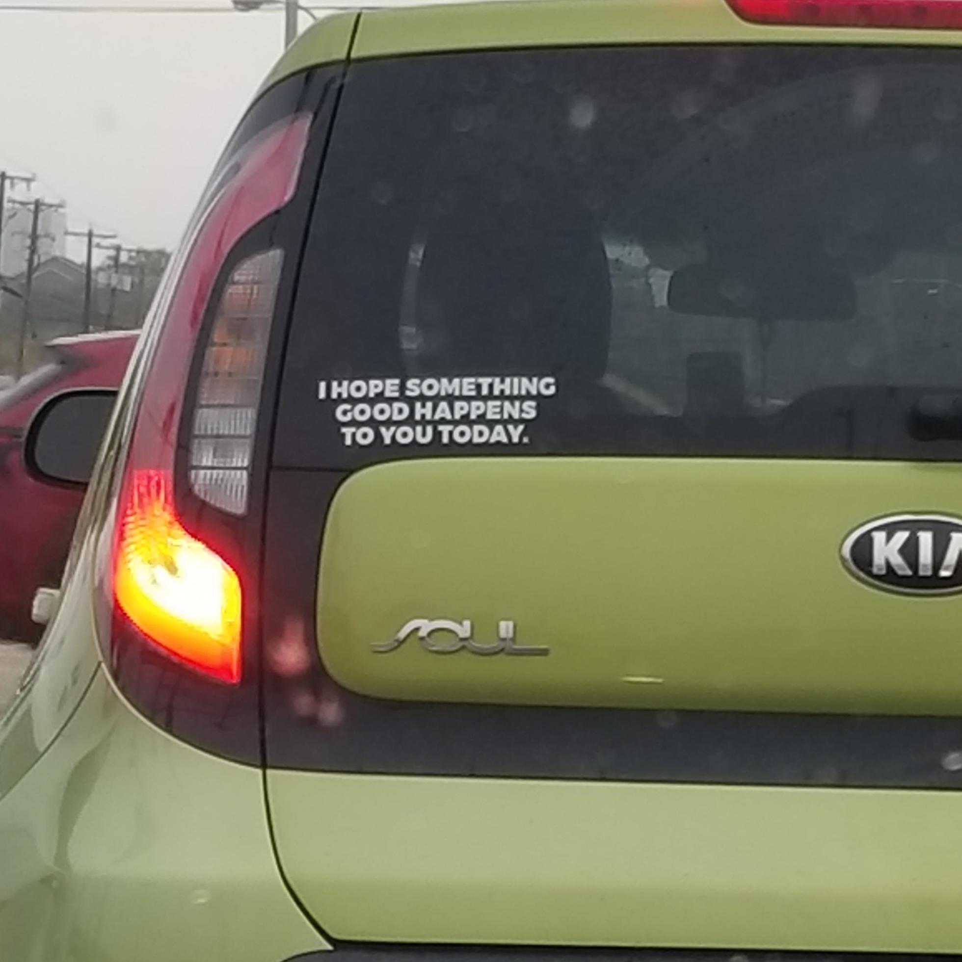 Kia Soul Hamster