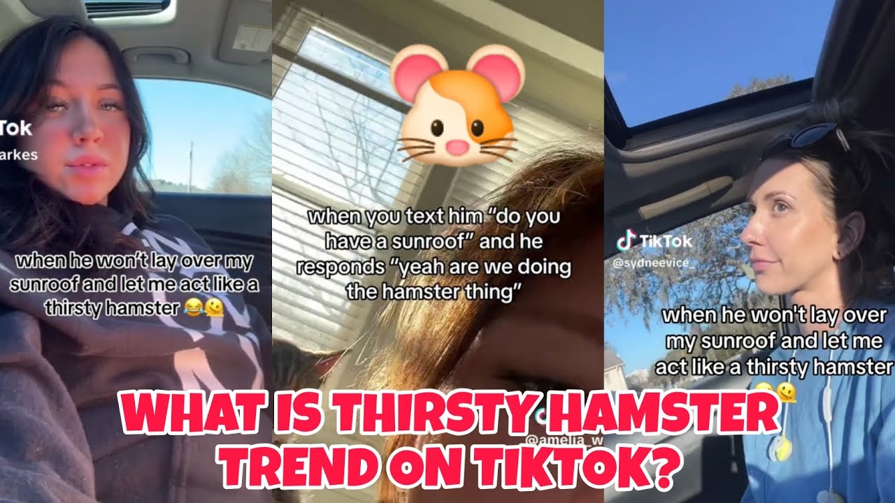 Effective Ways to Keep Your Thirsty Hamster Hydrated This Summer 2025