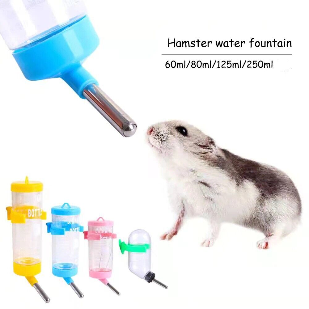 Effective Ways to Optimize Your Hamster Water Bottle for a Happier Pet in 2025