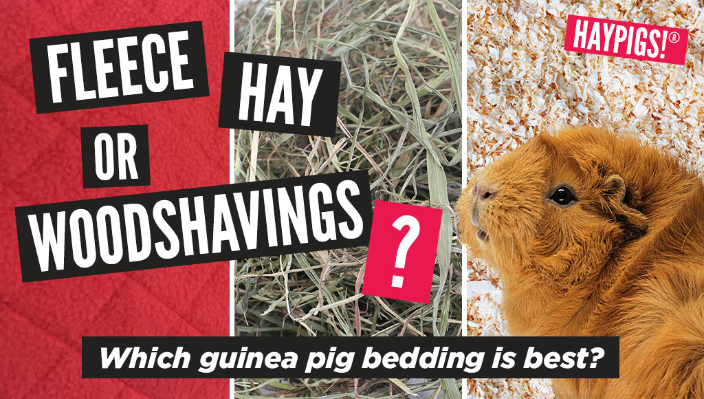 Guinea Pig Bedding