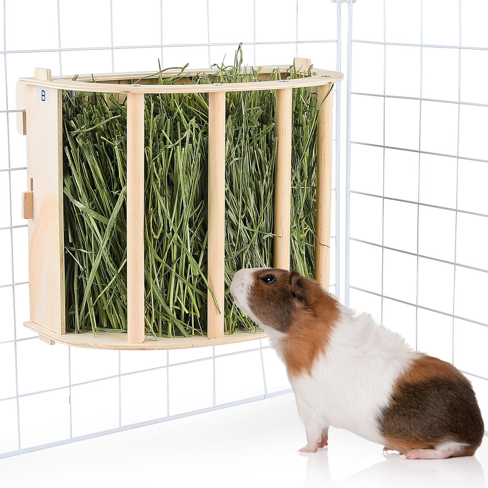 Effective Ways to Choose the Best Guinea Pig Hay for a Healthy Diet in 2025