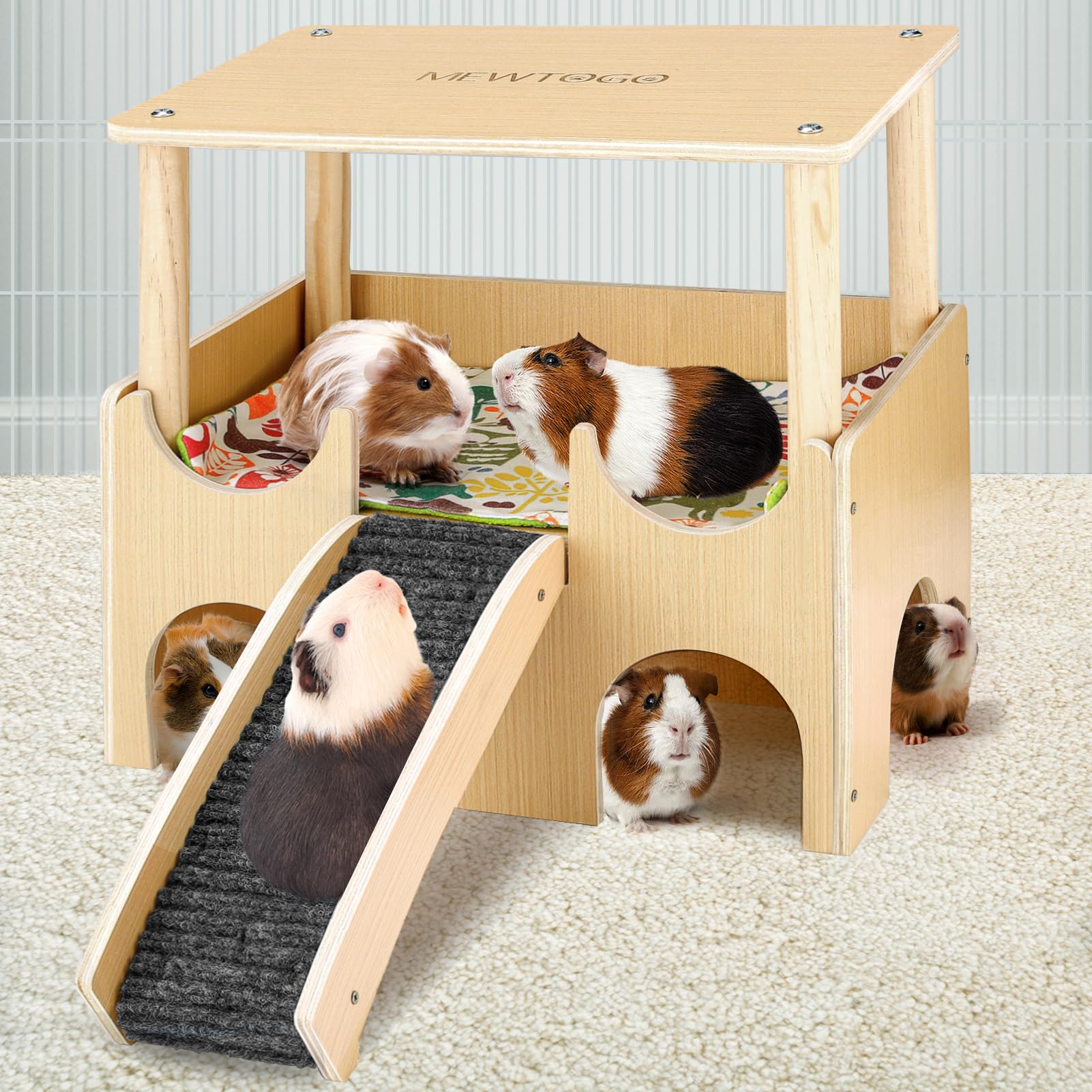 Guinea Pig House