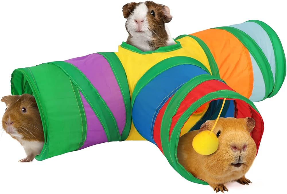 Smart Ways to Care for Your Guinea Pig Baby in 2025: Essential Tips and Tricks