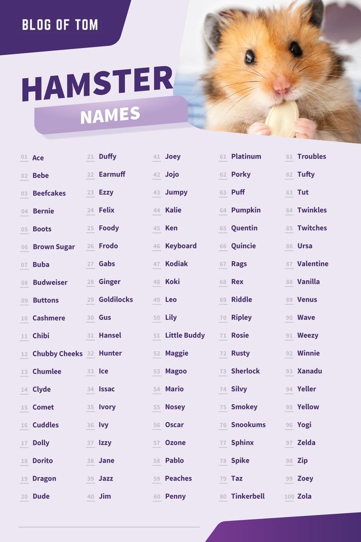 Unique Hamster Names