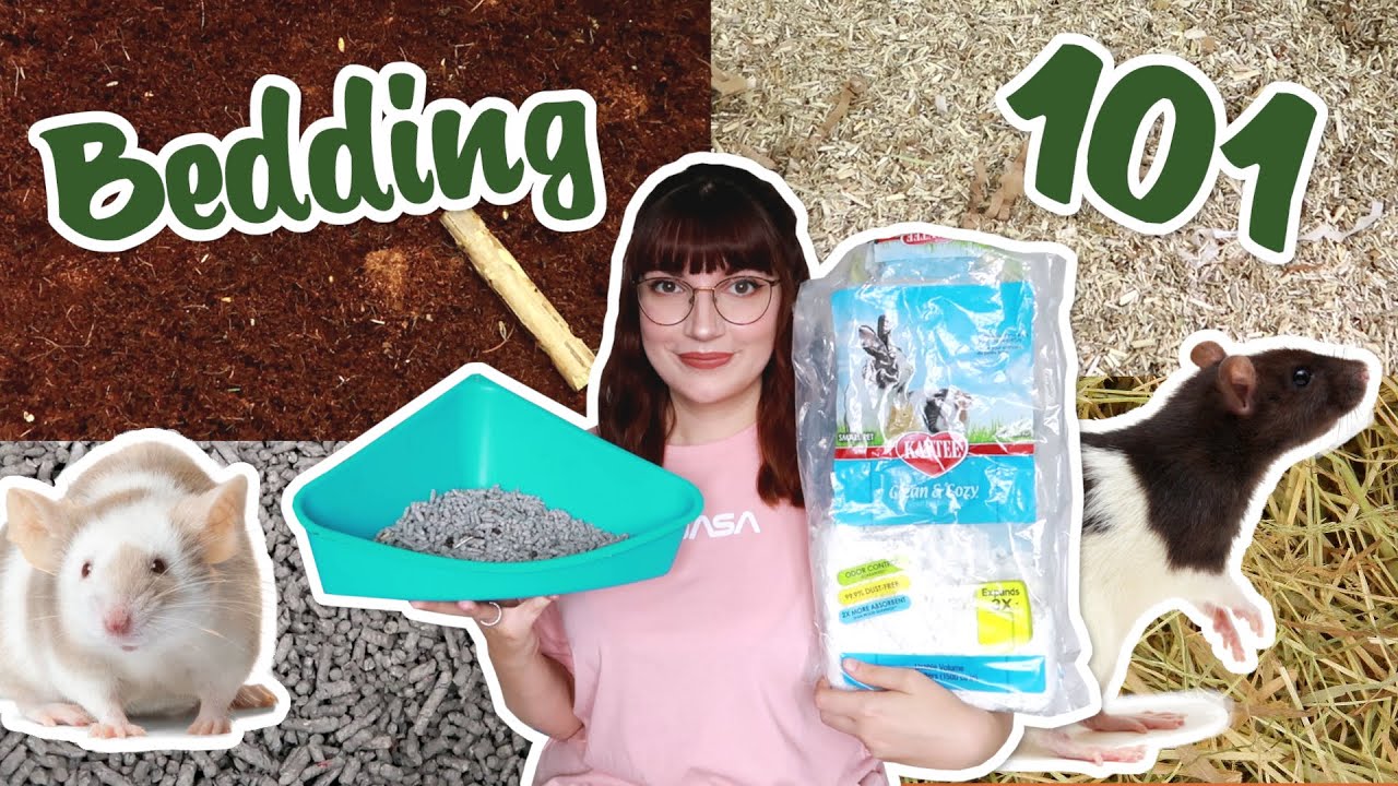 Effective Ways to Choose the Best Bedding for Rats in 2025: Discover Practical Options!