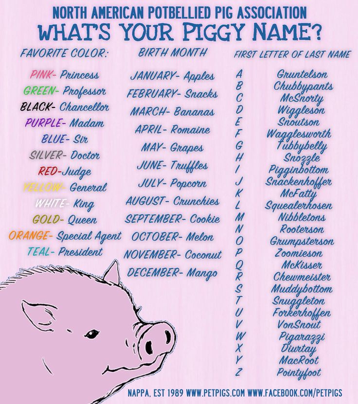 Discover 10 Adorable Girl Pig Names to Choose for Your New Pet in 2025!