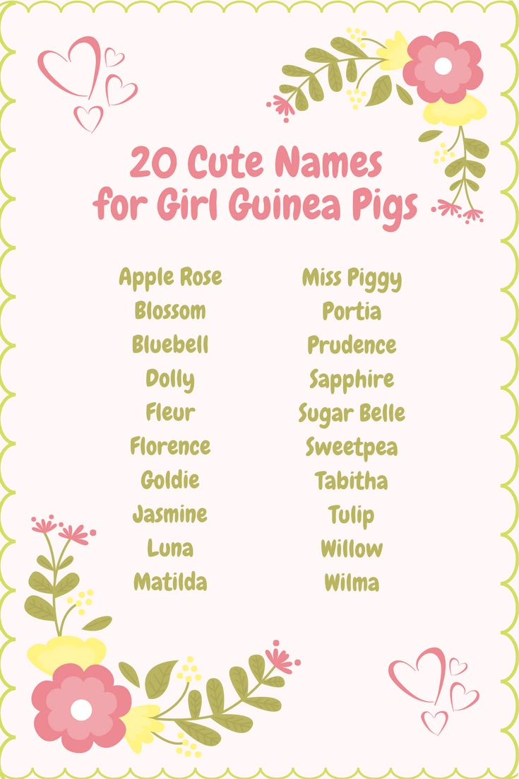 Top 7 Boy Pig Names: Discover Fun and Creative Options for Your Pet!